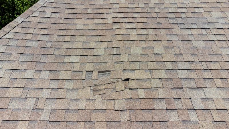 Asphalt Roof Inspection in Crozet, VA