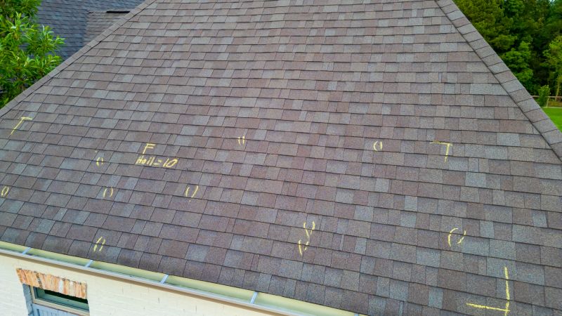 Asphalt Roof Inspection in Palmyra, VA