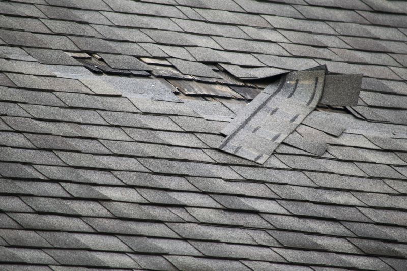 Asphalt Roof Leak Repair in Rockingham County, VA