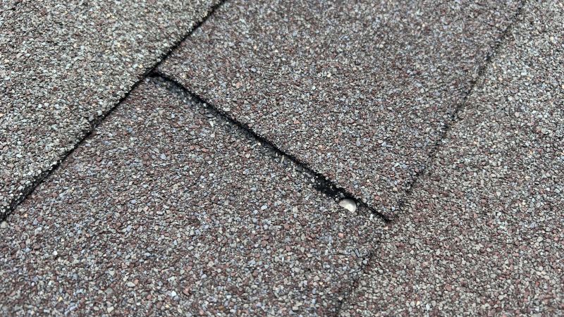 Asphalt Roof Repair in Elkton, VA
