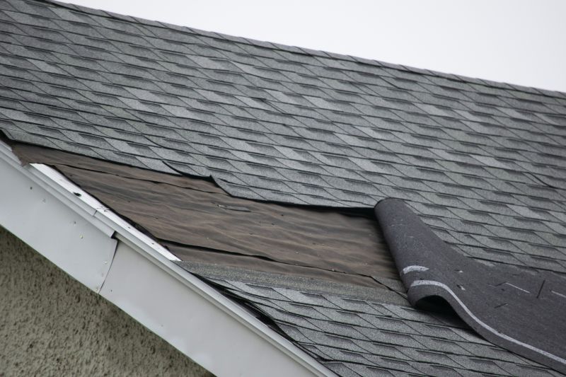 Asphalt Shingles Repair in Crozet, VA