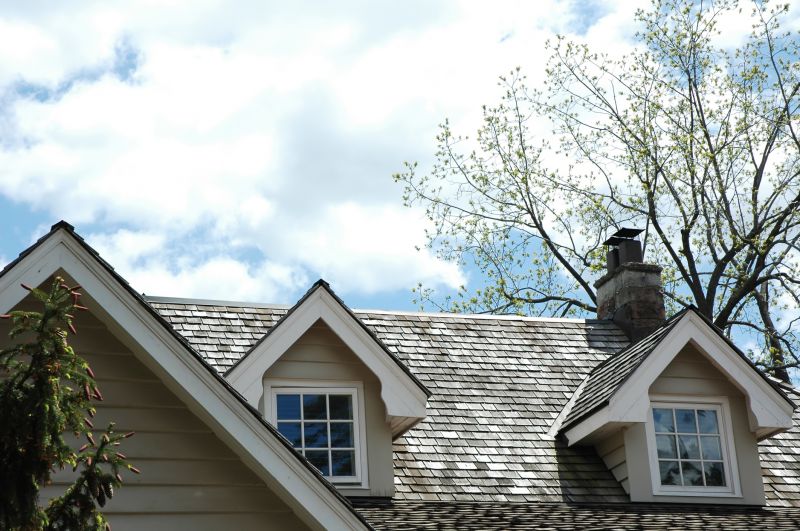 Cedar Shingles Replacement in Louisa, VA