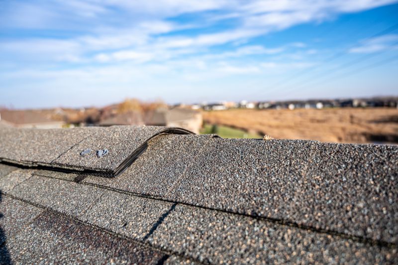 Damaged Roof Repair in Batesville, VA