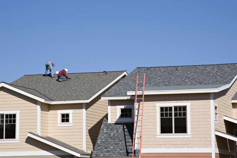 Damaged Roof Repair in Louisa County, VA