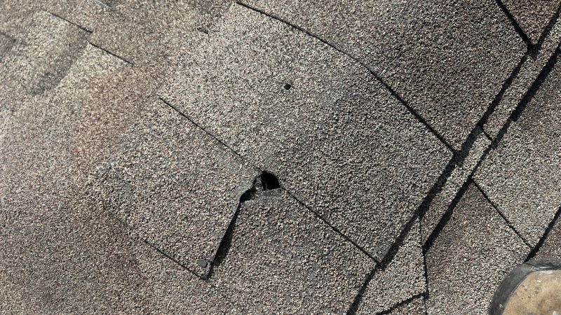 Damaged Roof Repair in Louisa, VA