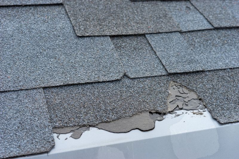 Damaged Roof Repair in Madison, VA