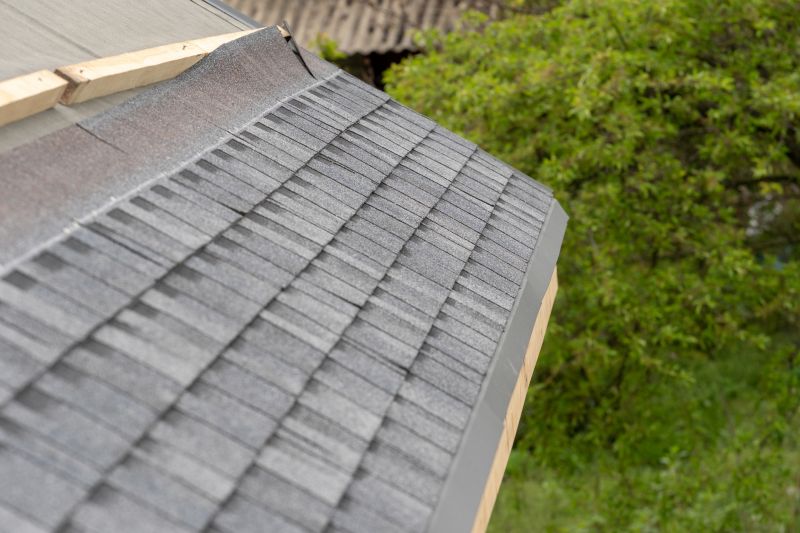 Damaged Roof Repair in Orange County, VA