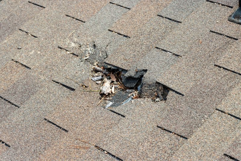 Damaged Roof Replacement in Rockingham County, VA