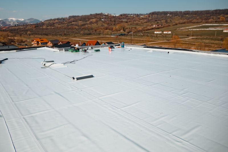 Epdm Roof Inspection in Ruckersville, VA