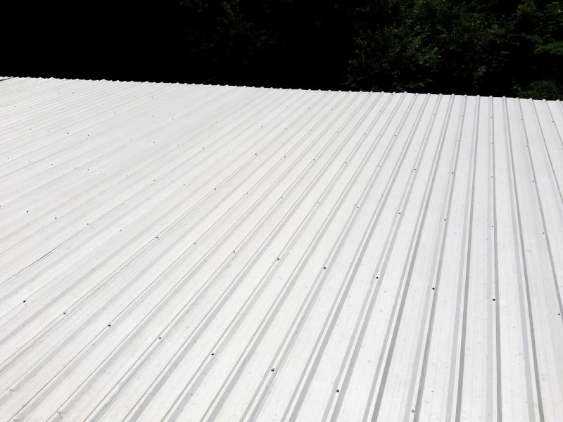 Galvanized Roof Repair in Ruckersville, VA
