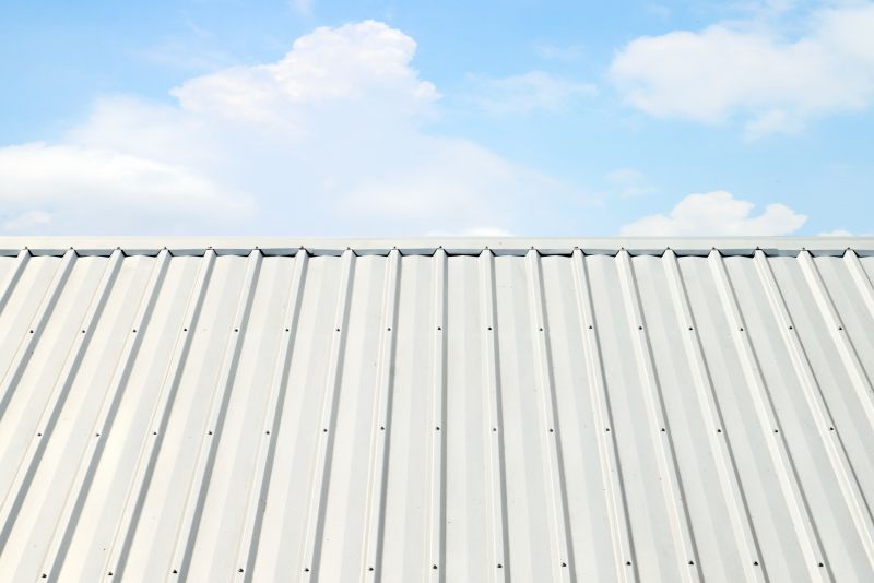 Metal Roof Coating Installation in Ruckersville, VA