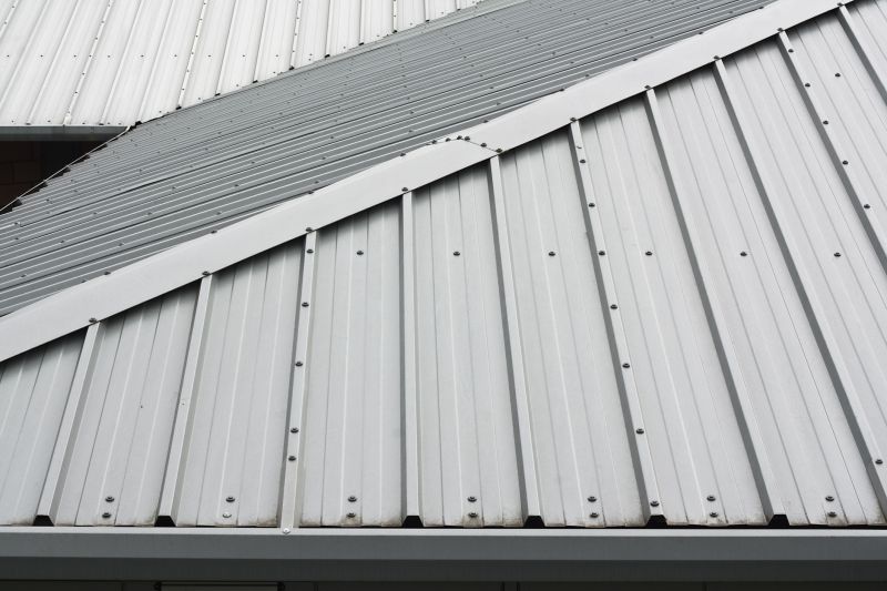 Metal Roof Installation in Louisa, VA