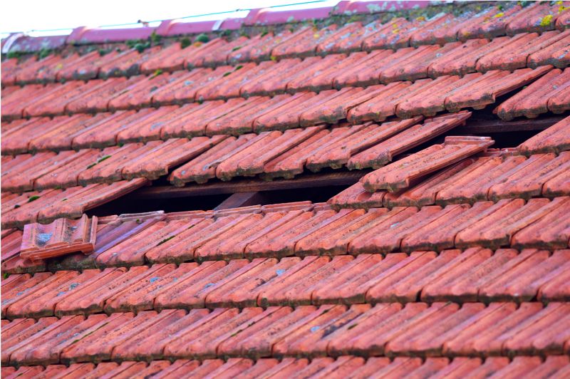 Roof Damage Inspection in Palmyra, VA
