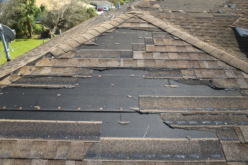 Roof Hail Damage Repair in Ruckersville, VA