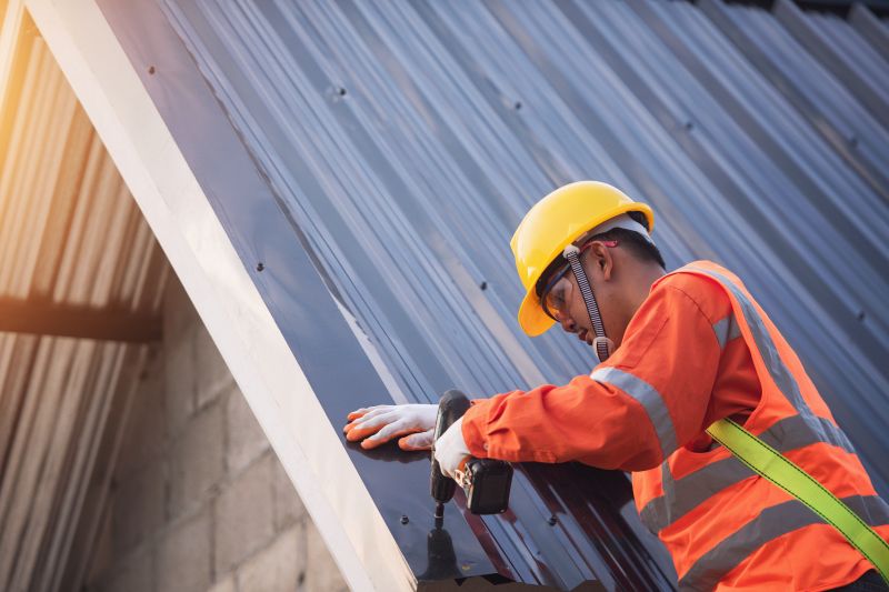Roof Panel Repair in Ruckersville, VA