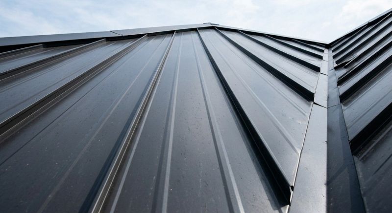 Roof Panel Repair in Ruckersville, VA