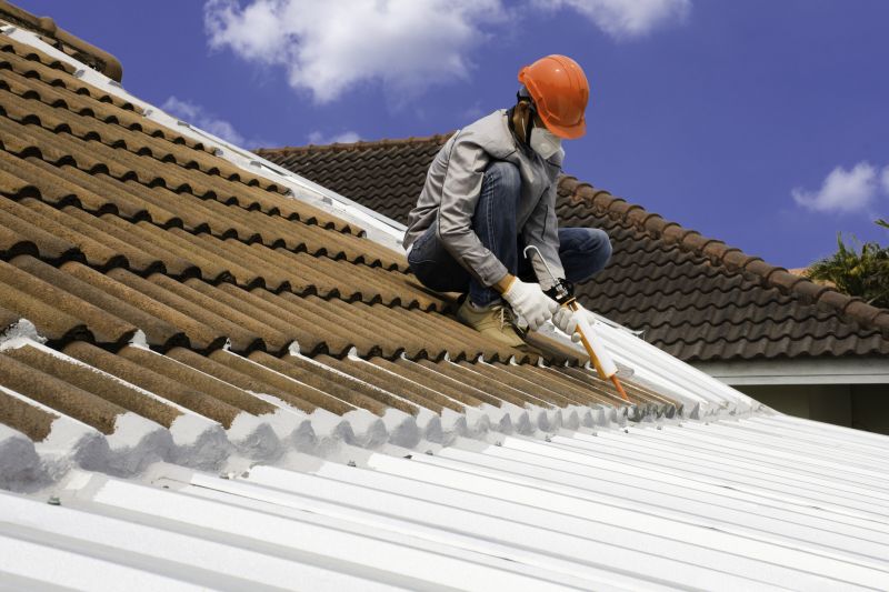 Roof Sealing in Palmyra, VA