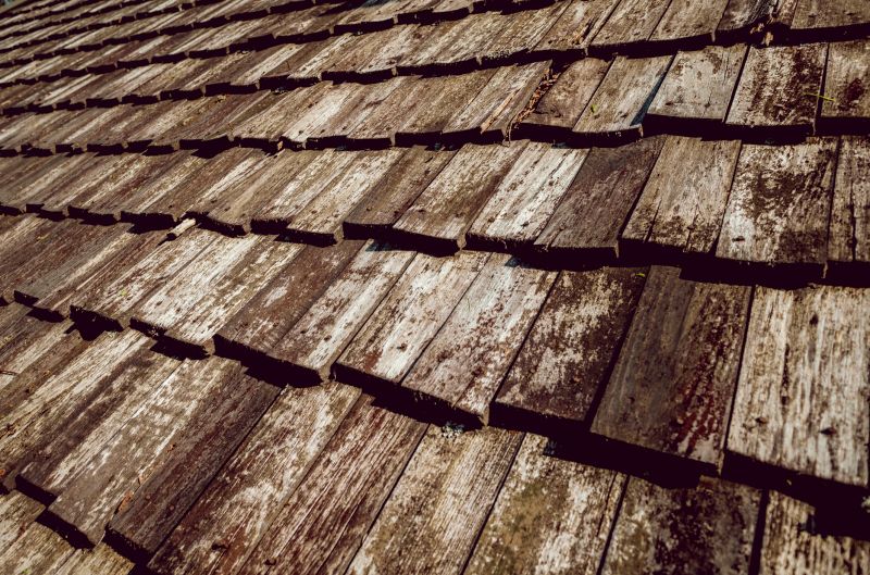 Shake Roof Replacement in Madison, VA