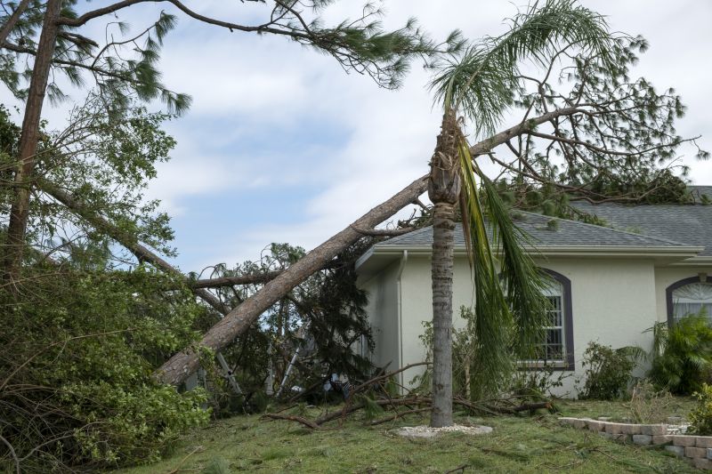 Storm Damage Roof Repair in Palmyra, VA