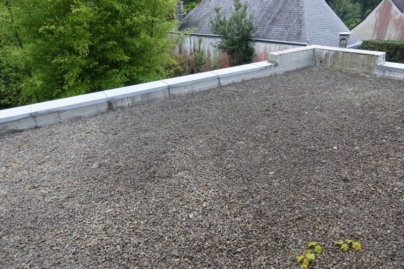 Tar And Gravel Roof Repair in Palmyra, VA