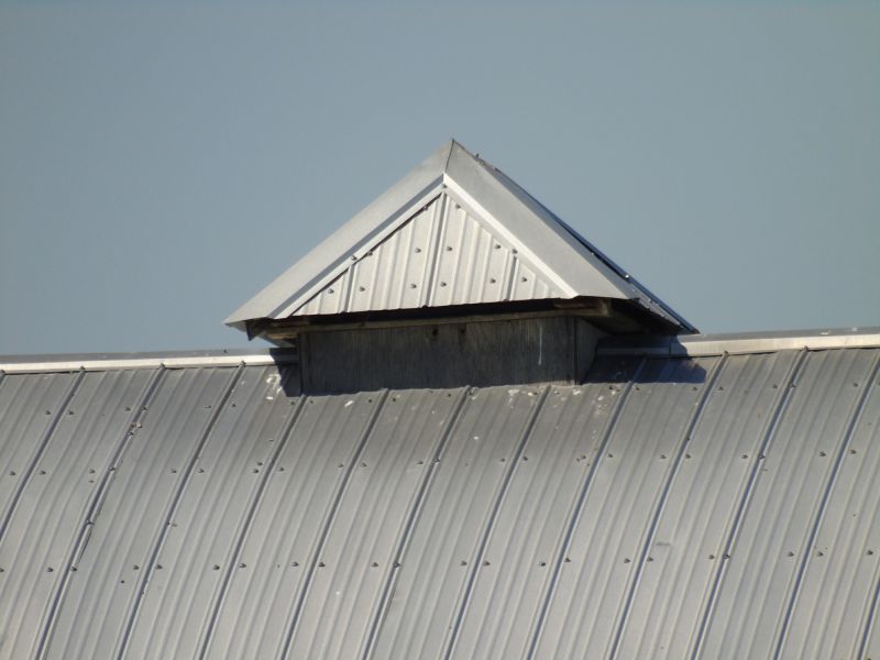 Tin Roof Installation in Batesville, VA