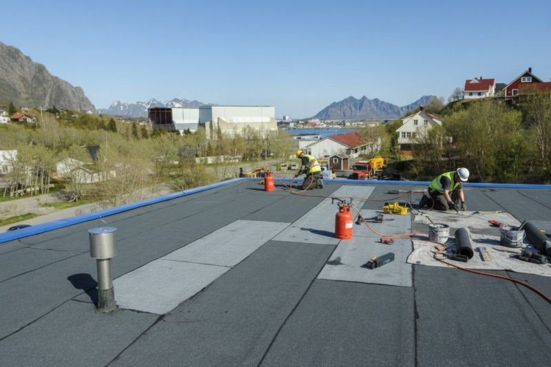 Tpo Roof Replacement in Greene County, VA