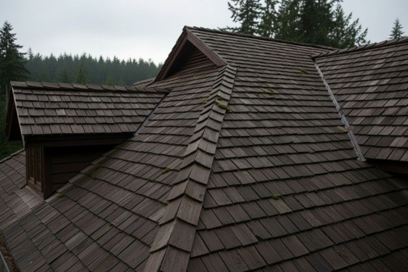 Wood Shake Roof Replacement in Earlysville, VA